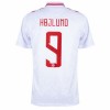 Maillot de Supporter Danemark Hojlund 9 Domicile Euro 2024 Pour Homme